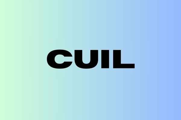 como-posso-saber-meu-cuil
